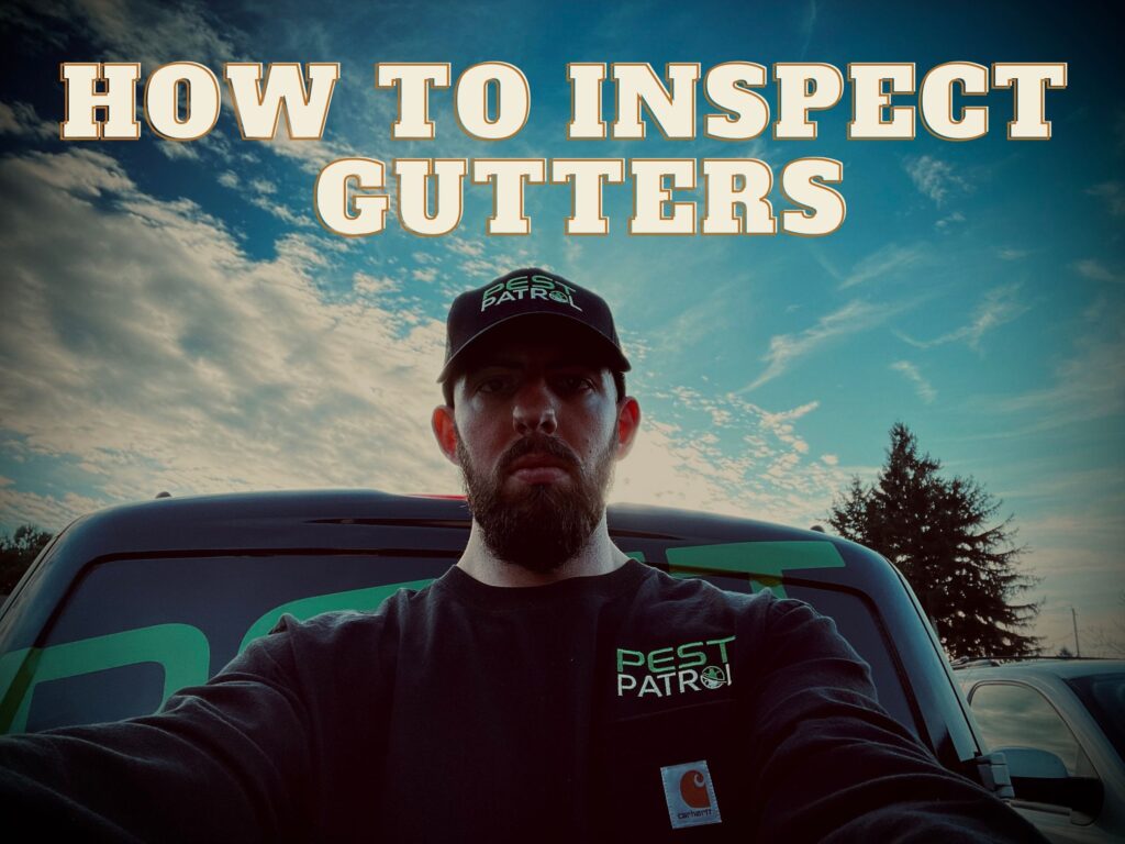 gutters how to inspect