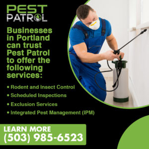 Pest Patrol