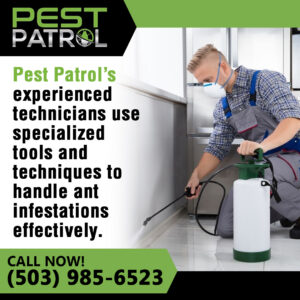 Pest-Patrol