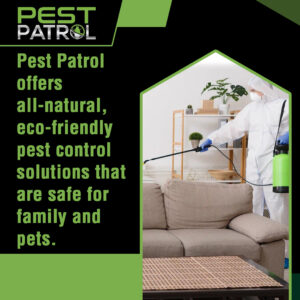pest control solutions