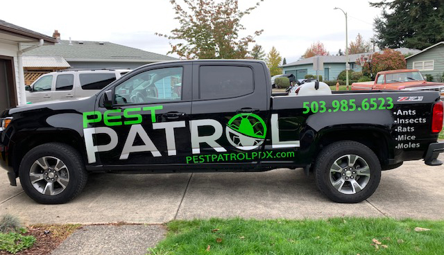 pestpatrol-truck-2 black pest patrol truck