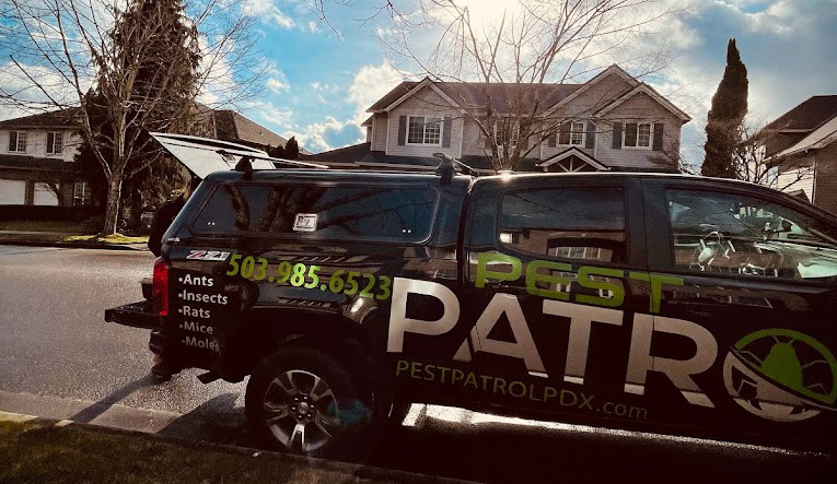 pestpatrol-truck-sunray pestpatrol-truck-sunray