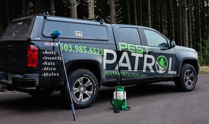 Created with RNI Films app. Profile 'Agfa RSX II' Black Pest Patrol Truck