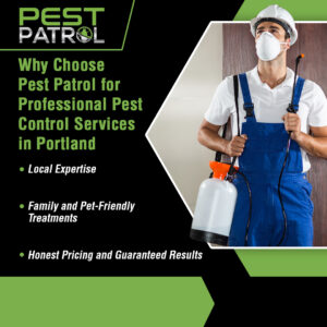 professional pest control services