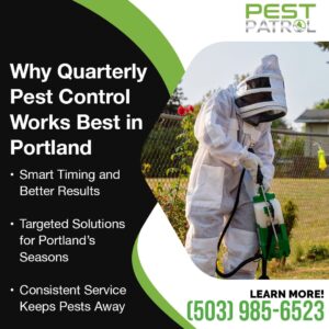 A pest control technician wearing a full beekeeper-style suit and protective gloves, holding a pest spray tank and a hose, walks on a green lawn near a chain-link fence