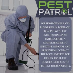An image of a pest control technician in a protective suit spraying a floor, with text from Pest Patrol about offering a complete guide to effective rat removal and prevention for homeowners and businesses in Portland.